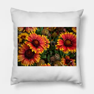 In The Summer Garden Pillow