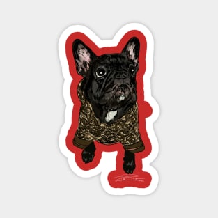 Frenchie Fashion Forward Magnet