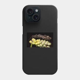 Unique and organic photo of a husk resting on flower Phone Case