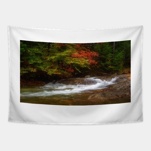 Stream in Franconia Notch State Park Tapestry by jforno