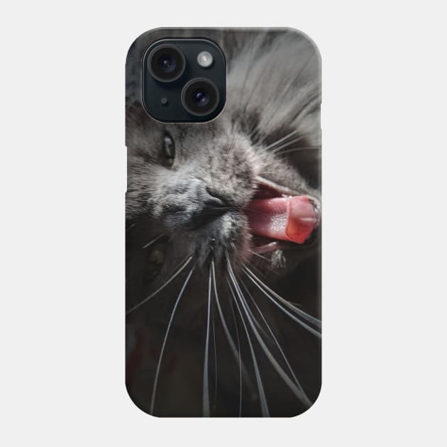 Funny "What" cat Phone Case by PandLCreations