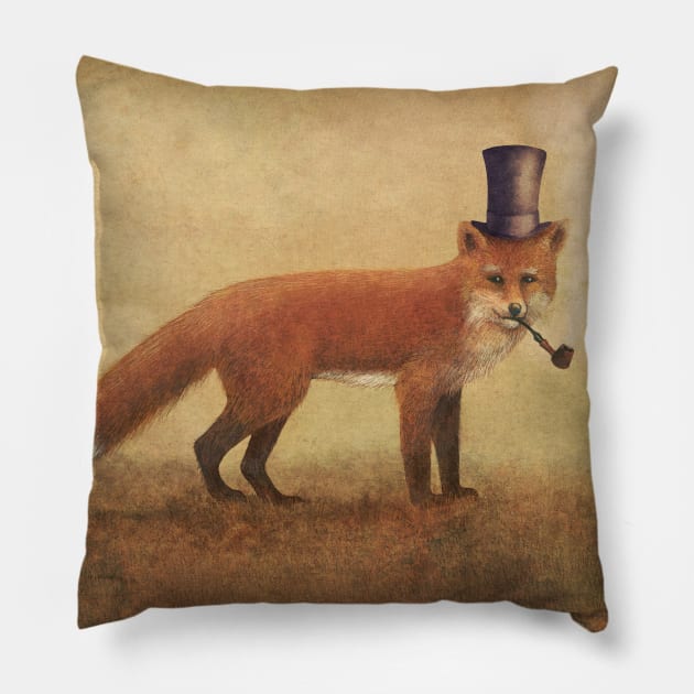 Crazy Like a Fox Pillow by Terry Fan