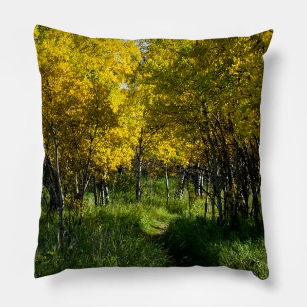 Fall in Canada's foothills Pillow by CanadianWild418