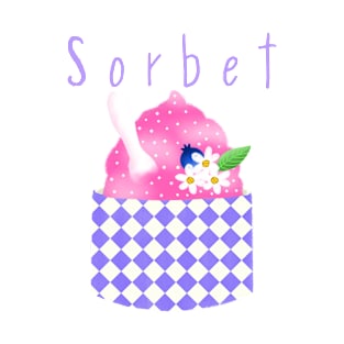 Sorbet on Aqua T-Shirt