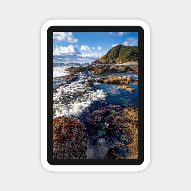 Happy Tide Pools Magnet by JeffreySchwartz