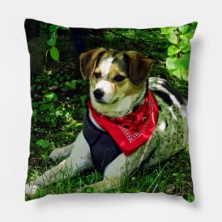 Dogs - Dog in Red Scarf Pillow