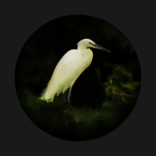 Egret by Guardi