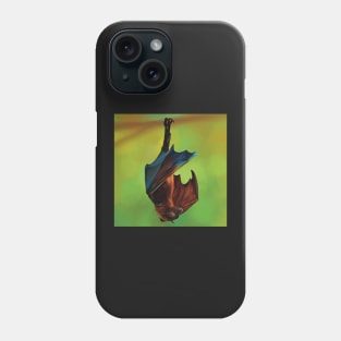 Fruit bat illustration, flying fox painting. Australian bat, unique gift. Phone Case