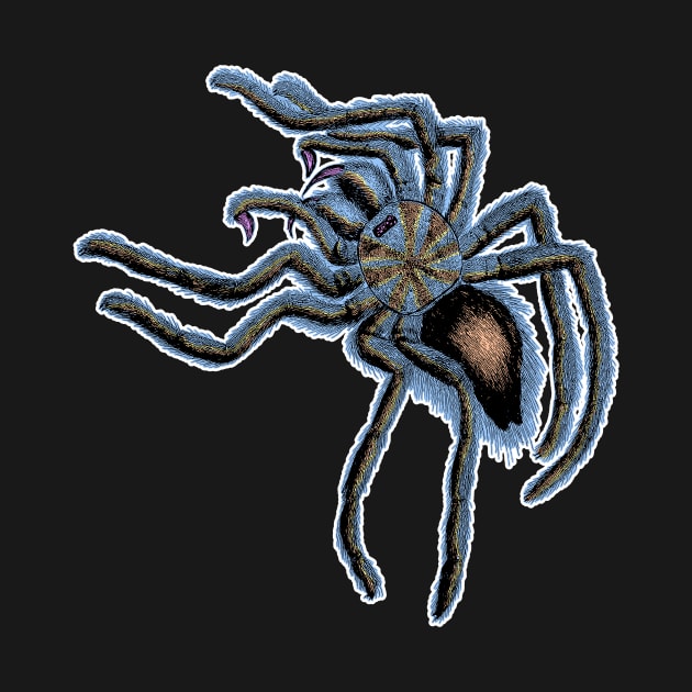 Tarantula Spider by encycloart