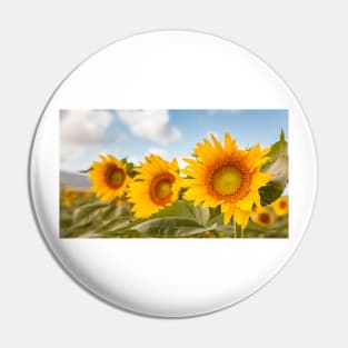 Happy Sunflowers Pin