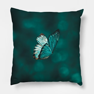 Blue and Black Butterfly Pillow