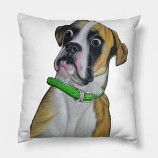 Basset Hound Dog face Pillow