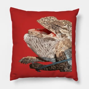 Chameleon With Open Mouth Nerdy Reptile Vector Art Pillow