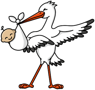 Dab dabbing stork baby birth announcement Magnet