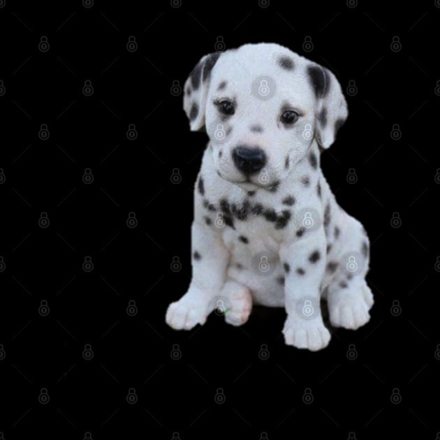 Cute puppy will white spots by Opubo Design