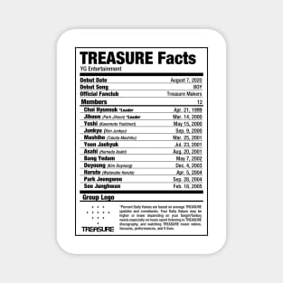 TREASURE Kpop Nutritional Facts Magnet