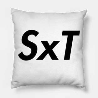 SxT Team Member: DS9 Pillow