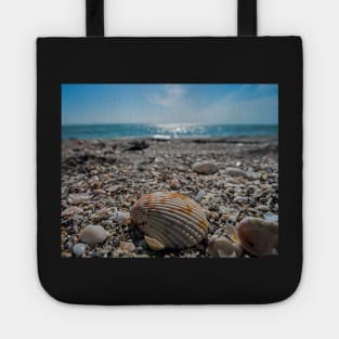 Sanibel Island Sea Shell Fort Myers Florida Tote