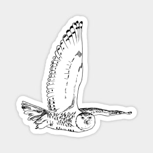 white owl Magnet