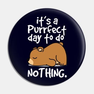 it's a perfect day to do nothing Pin