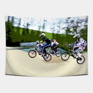 bmx Tapestry