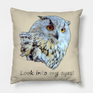 Look into my eyes Pillow