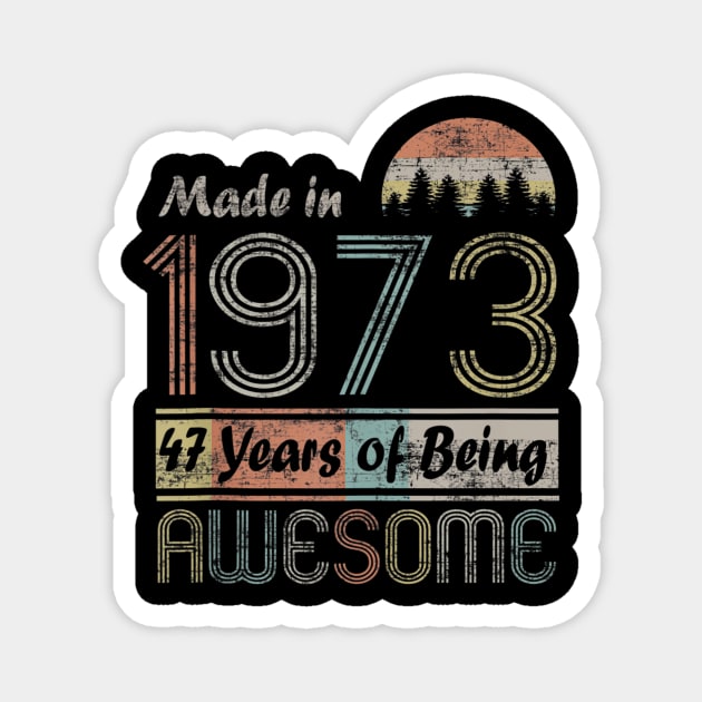 Vintage 1973 Made In 1973 47th Birthday 47 Years Old Gift Magnet by semprebummer7