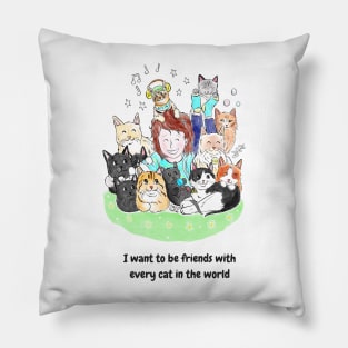 I want to be friends with every cat in the world Pillow