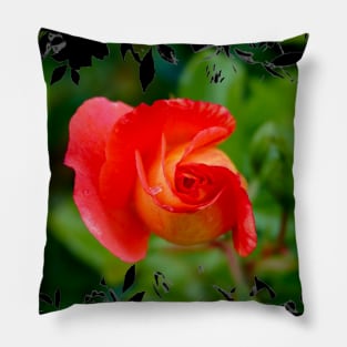 Curled Rose Pillow