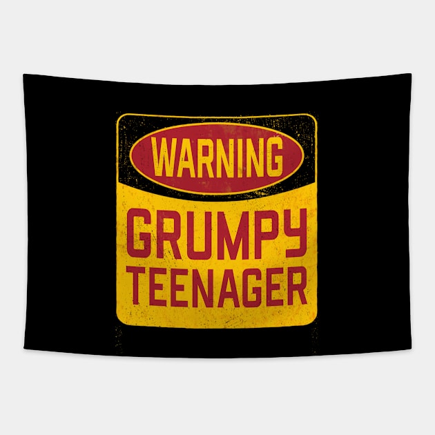 13th Birthday - Warning Grumpy Teenager Tapestry by Kudostees