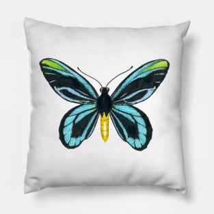 Queen Alexandra' s birdwing butterfly Pillow