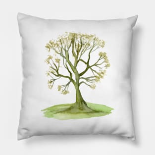 Watercolor Green tree. Watercolor Tree Art Pillow