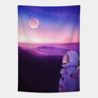 Perseid Meteor Shower Tapestry