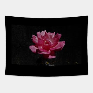 Rose Tapestry