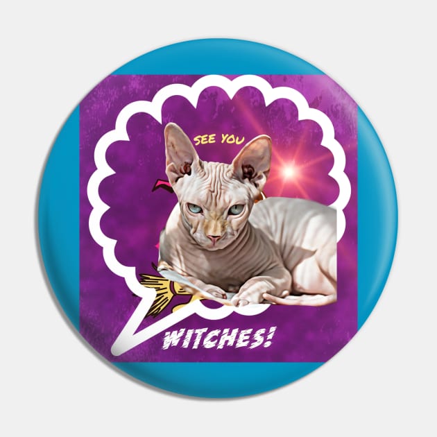 See You, Witches! (hairless cat) Pin by PersianFMts