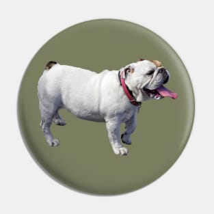 Bulldog Side View Pin