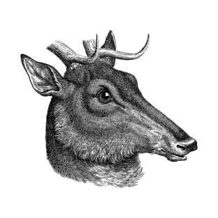 HEAD OF DEER T-Shirt