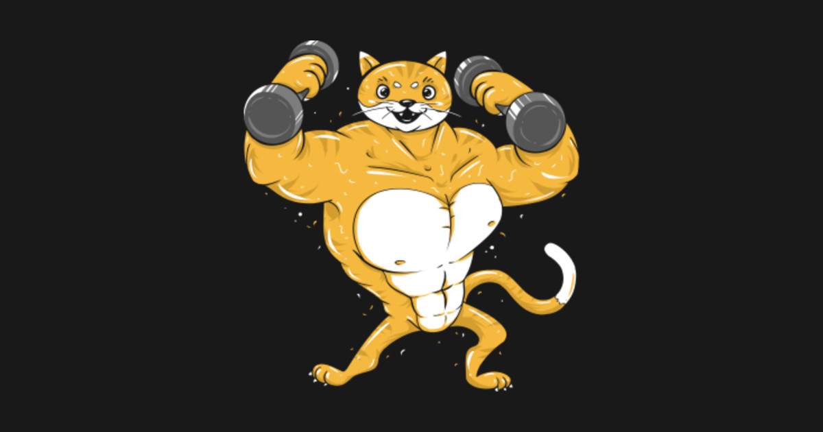 Fitness Cat Weight Lifting Cat Weight Lifting Cat Weight Lifting