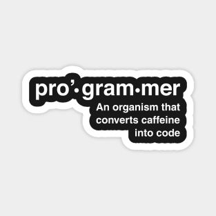 Definition of programmer Magnet