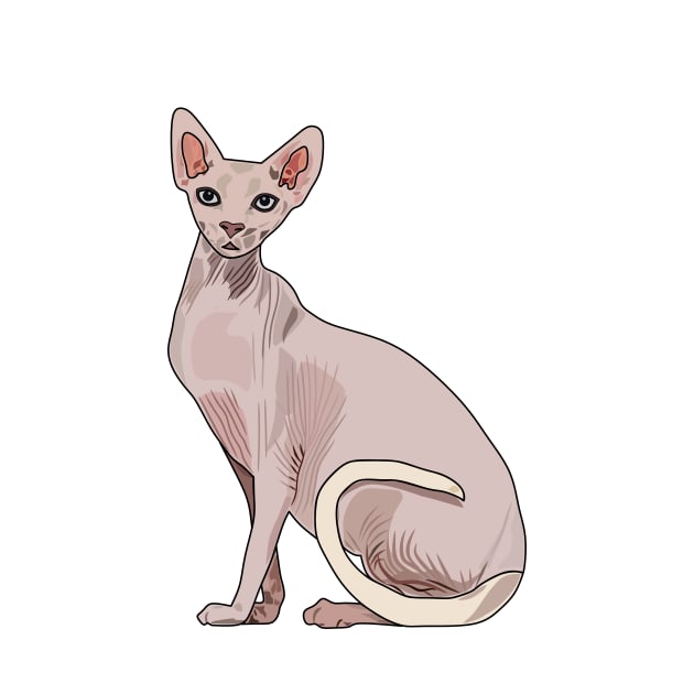 Sphynx cat cartoon illustration by Miss Cartoon