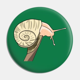 Snail Pin