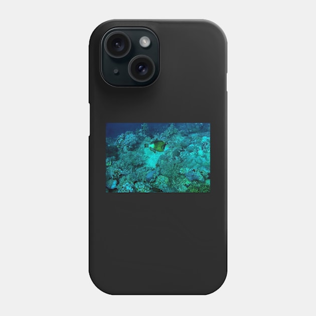 TRIGGER FISH Phone Case by likbatonboot