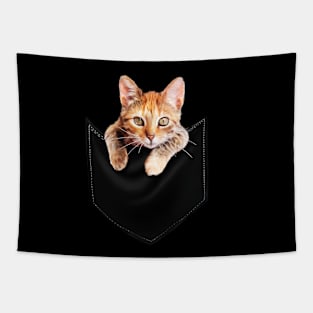 Funny Cute Ginger Cat Inside Pocket, Cat Lover Tapestry