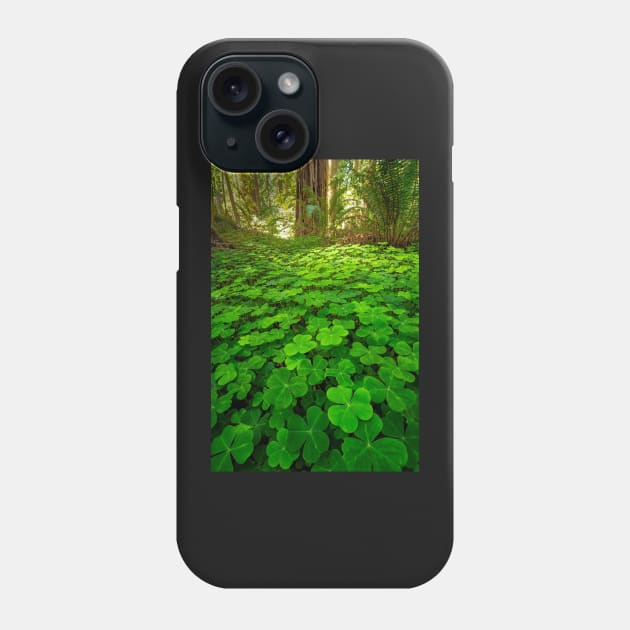 Redwood Sorrel in the Forest Phone Case by JeffreySchwartz