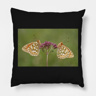 Two Dark Green Fritillary Butterflies on a Wild Marjoram Flower Pillow