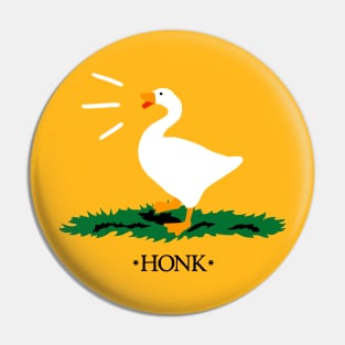 Don't Honk on Me Pin