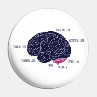 Human brain anatomic Pin