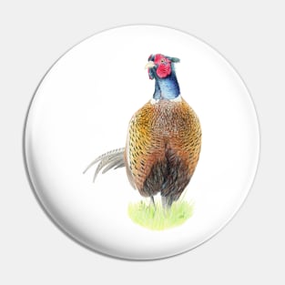 Pheasant Pencil Drawing Pin