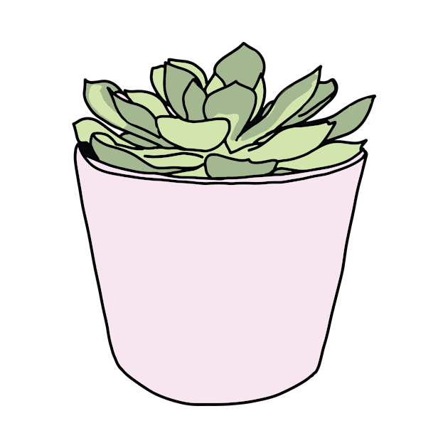 Green succulent in pink flowerpots by bigmoments