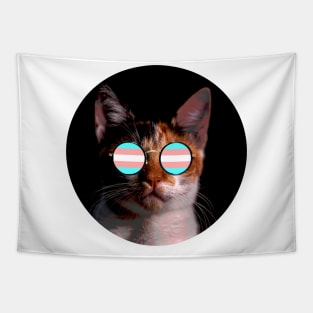 Cute Cat with Glasses Flag Tapestry